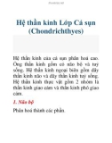 Hệ thần kinh Lớp Cá sụn (Chondrichthyes)Hệ thần kinh của cá sụn phân hoá cao.