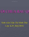 MUỐI CHUA RAU QUẢ