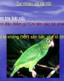 Giáo án điện tử môn Tự nhiên và xã hội lớp 3 - Bài: Thú (Tiết 1)