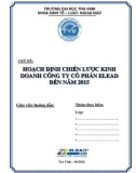 Tiểu luận Quản trị kinh doanh: Hoạch định chiếc lược kinh doanh công ty cổ phần Elead đến năm 2015