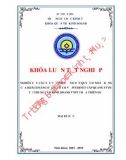 Khóa luận tốt nghiệp: Nghiên cứu các yếu tố ảnh hưởng đến quyết định sử dụng của khách hàng đối với dịch vụ internet cáp quang FTTH tại trung tâm kinh doanh VNPT Thừa Thiên Huế