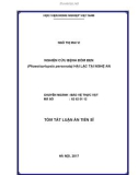Tóm tắt Luận án tiến sĩ: Nghiên cứu bệnh đốm đen (Phaeoisariopsis personata) hại lạc tại Nghệ An