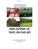 Dinh dưỡng và thức ăn cho bò