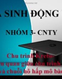 Thuyết trình Hóa sinh động vật: Chu trình Krebs - mối liên quan giữa chu trình Krebs và chuỗi hô hấp mô bào