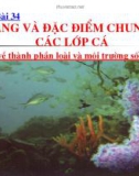 Đa dạng của lớp cá