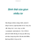 Sinh thái của giun nhiều tơ