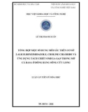 Luận án Tiến sĩ Hóa học: Tổng hợp một số dung môi sâu trên cơ sở 2-alkylben-zimidazole, choline chloride và ứng dụng tách chiết omega-3,6,9 trong mỡ cá basa ở đồng bằng sông Cửu Long