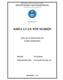 Khóa luận tốt nghiệp Marketing: Giải pháp thúc đẩy thị trường tiêu thụ sản phẩm tại công ty cổ phần đầu tư xây dựng thương mại Huy Vũ