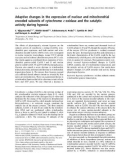 Báo cáo khoa học:  Adaptive changes in the expression of nuclear and mitochondrial encoded subunits of cytochrome c oxidase and the catalytic activity during hypoxia