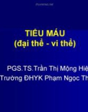 Bài giảng Tiểu máu (đại thể - vi thể) - PGS.TS. Trần Thị Mộng Hiệp