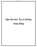 Spa cho tóc: Xa xỉ nhưng xứng đáng