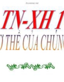 Bài giảng TNXH 1 bài 1: Cơ thể chúng ta