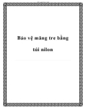 Bảo vệ măng tre bằng túi nilon