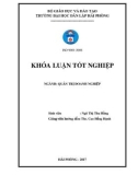 Khóa luận tốt nghiệp Quản trị doanh nghiệp: Một số biện pháp nhằm cải thiện tình hình tài chính tại công ty cổ phần đầu tư và công nghệ VPT