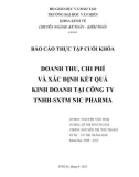 Luân văn: DOANH THU, CHI PHÍ VÀ XÁC ĐỊNH KẾT QUẢ KINH DOANH TẠI CÔNG TY TNHH-SXTM NIC PHARMA