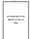 Kỹ Thuật Diệt Và Chế Biến Bọ Xít Hại Vải Nhãn