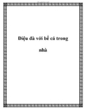 Điệu đà với bể cá trong nhà