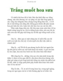 Trắng muốt hoa sưa