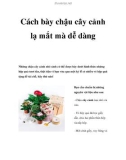 Cách bày chậu cây cảnh lạ mắt mà dễ dàng