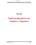 Tiểu luận:  Nguồn của luật quốc tế- case Gabcikovo – Nagymaros