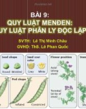 Giáo án điện tử sinh học: Sinh học lớp 12- Quy luật phân ly độc lập của MenDen