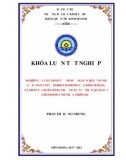 Khóa luận tốt nghiệp Marketing: Nghiên cứu các nhân tố ảnh hưởng đến quyết định sử dụng dịch vụ Moblie Banking của khách hàng cá nhân tại Ngân hàng thương mại cổ phần Quân đội chi nhánh tỉnh Thừa Thiên Huế