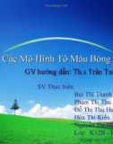 Các mô hình tô màu bóng trong đồ họa máy tính