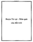 Rượu Tà vạt - Món quà của đất trời