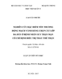 Luận án tiến sĩ Y học: Nghiên cứu đặc điểm tổn thương động mạch vành bằng chụp cắt lớp đa dãy ở bệnh nhân suy thận mạn có chỉ định điều trị thay thế thận