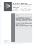 The left atrial appendage morphology in patients with atrial fibrillation by cardiac computed tomography