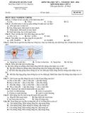 Đề thi học kì 1 môn Sinh học lớp 11 năm 2023-2024 - Trường THPT Lý Tự Trọng, Quảng Nam