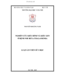 Luận án tiến sĩ Y học: Nghiên cứu kiểu hình và kiểu gen ở bệnh nhi β-Thalassmia