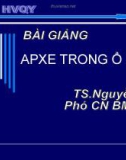 APXE TRONG Ổ BỤNG