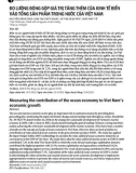 Đo lường đóng góp giá trị tăng thêm của kinh tế biển vào tổng sản phẩm trong nước của Việt Nam
