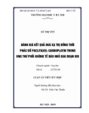 Luận án tiến sĩ Y học: Đánh giá kết quả hoá xạ trị đồng thời phác đồ paclitaxel- carboplatin trong ung thư phổi không tế bào nhỏ giai đoạn IIIB tại Bệnh viện K