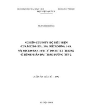 Luận án Tiến sĩ Y học: Nghiên cứu mức độ biểu hiện của micro-RNA 29A, micro-RNA 146A và micro-RNA 147B tự do huyết tương ở bệnh nhân đái tháo đường týp 2