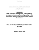 Báo cáo khoa học nông nghiệp  Field evaluation and advanced vegetative mass-propagation technology for scaling up high-value plantations of Pinus caribaea and related hybrids in Vietnam - MS2 