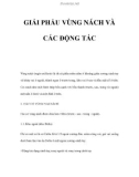 GIẢI PHẨU VÙNG NÁCH VÀ CÁC ĐỘNG TÁC