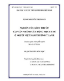 Luận án Tiến sĩ Y học: Nghiên cứu kích thước và phân nhánh của động mạch chủ ở người Việt Nam trưởng thành