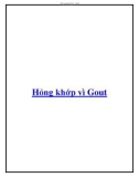 Hỏng khớp vì Gout