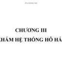 Bài giảng Chương 3: Khám hệ thống hô hấp