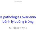 Bài giảng Les pathologies ovariennes bệnh lý buồng trứng