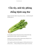 Cần tây, mùi tây phòng chống bệnh ung thư