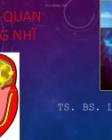 Bài giảng Tổng quan rung nhĩ - TS. BS. Lê Thanh Liêm