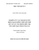 Tóm tắt Luận án Tiến sĩ Y học: Nghiên cứu vạt nhánh xuyên động mạch mông trên kết hợp hút áp lực âm trong điều trị vết loét mạn tính cùng cụt