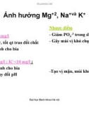 Giáo trình : Công nghệ sản xuất bia và malt part 9