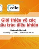 Bài giảng Nhập môn lập trình: Giới thiệu về các cấu trúc điều khiển - Trường ĐH Khoa học tự nhiên TP. HCM