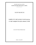 Luận văn Thạc sĩ Khoa học: Nghiên cứu chế tạo hạt nano Fe3O4@Ag và thử nghiệm ứng dụng trong y sinh