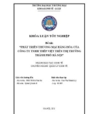 Khóa luận tốt nghiệp Kinh tế: Phát triển thương mại hàng hóa của Công ty TNHH Thép Việt trên thị trường thành phố Hà Nội