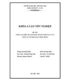 Khóa luận tốt nghiệp Kinh tế: Nâng cao hiệu quả sử dụng nguồn nhân lực của Công ty Cổ phần May Sông Hồng